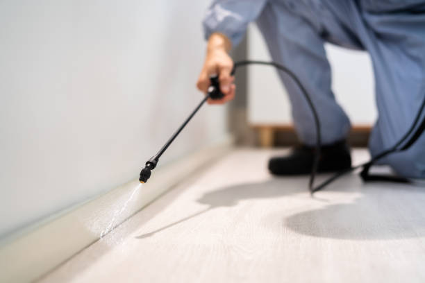 Licensed Termite Control service in Shannon, MS - Nex Pest Control