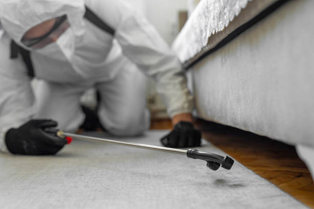 Professional Termite Control technician working in Shannon, MS