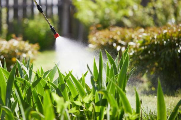 24/7 Emergency Termite Control experts in Shannon, MS